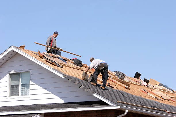 Best Metal Roofing Installation  in Lakewood, IL